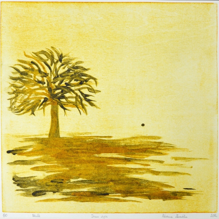 Drzewo życia, Mokulito, 1/10, 42x42 cm, 2016