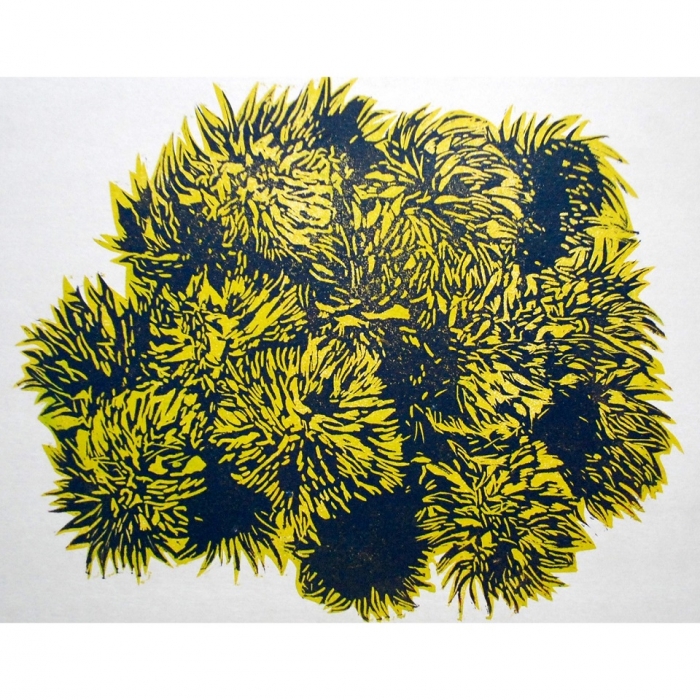 Dziki owoc, Linoryt, 1/30, 100x70 cm, 2013