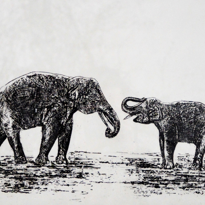 Słonie, Akwaforta, 1/30, 42x30 cm, 2016