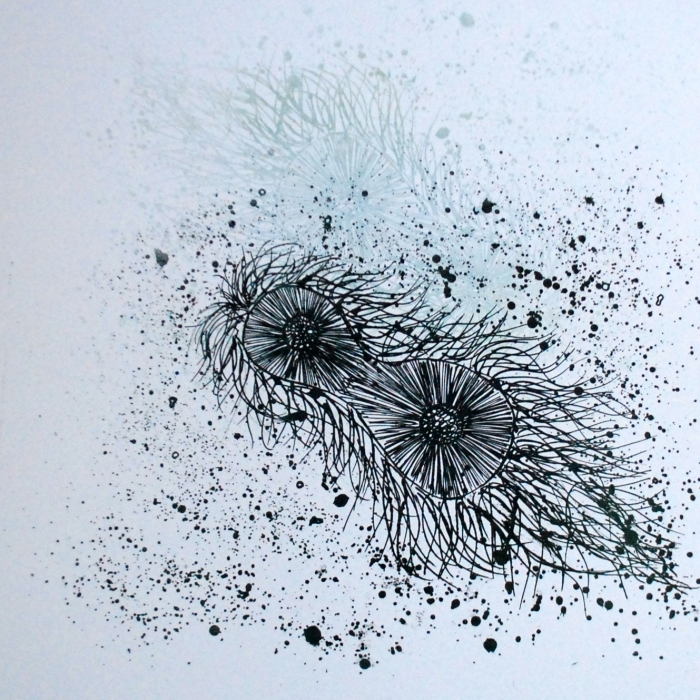 Cień życia, Litografia, 60x50 cm, 2014