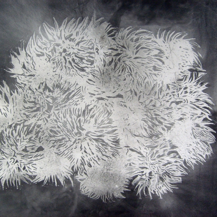 Dziki owoc, Linoryt, 17/30, 100x70 cm, 2013