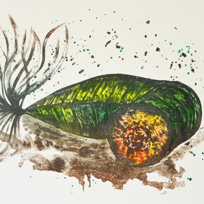 Makrela przybrzeżna, Litografia, Akwarela, 12/30, 46x35 cm, 2016