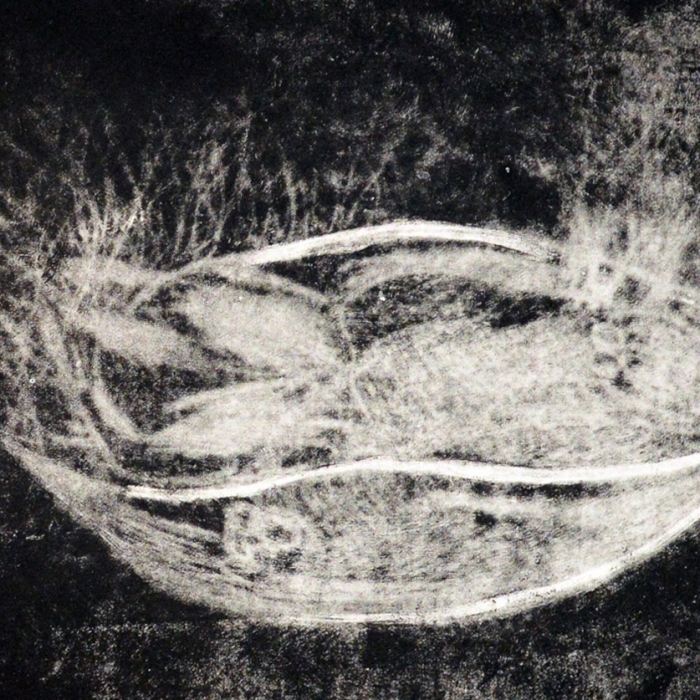 Skamielina Paszczaka, Mezzotinta, 1/30, 15x30 cm, 2016