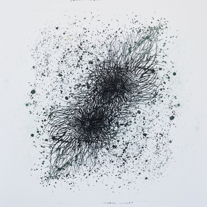 Zapłodnienie, Litografia, 50x60 cm, 2014