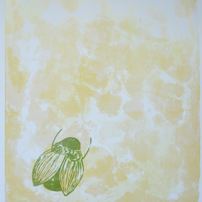 Żuczek nubijski, Litografia barwna, 12/30, 55,5x71 cm, 2016