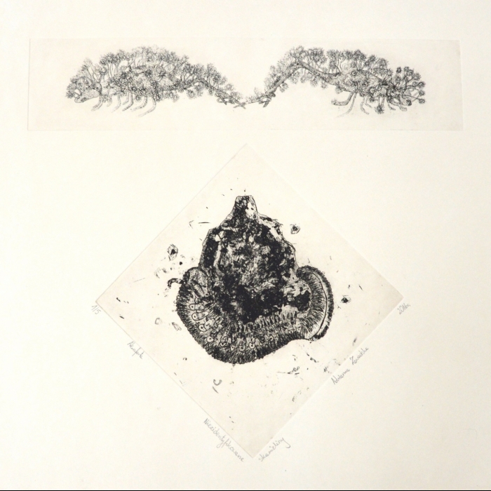 Niezidentyfikowane skamieliny, Akwaforta, 1/5, 44x37 cm, 2016