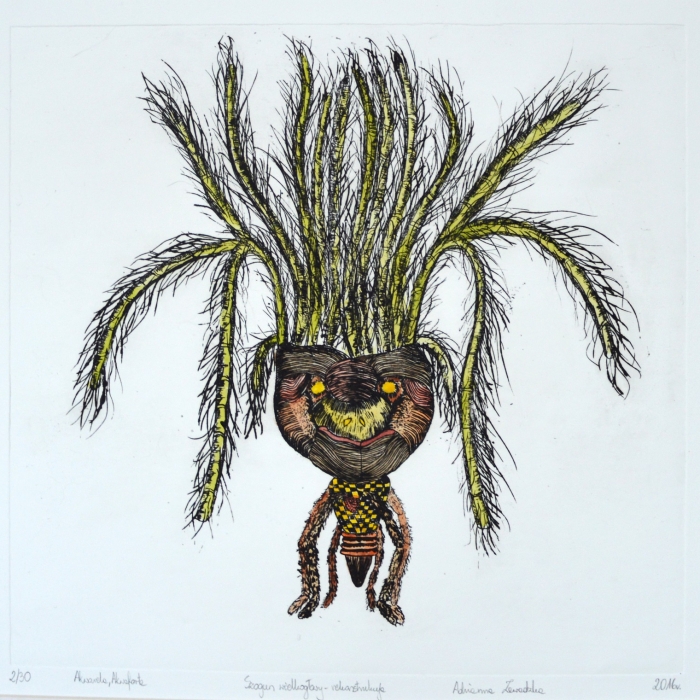 Szogun wielkogłowy, Akwaforta, Akwarela, 2/30, 30x30 cm, 2016