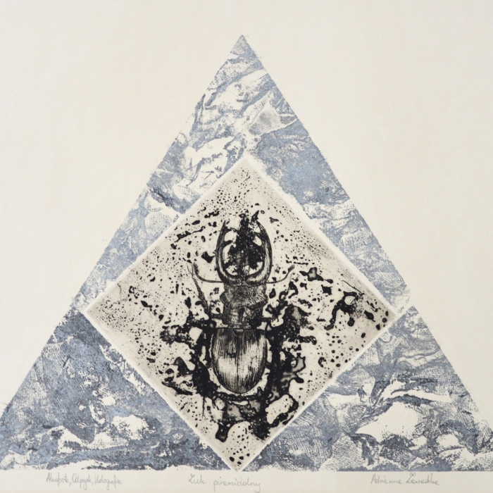 Żuk piramidalny, Akwaforta, Odprysk, Holografia, 1/1, 52x38 cm, 2016