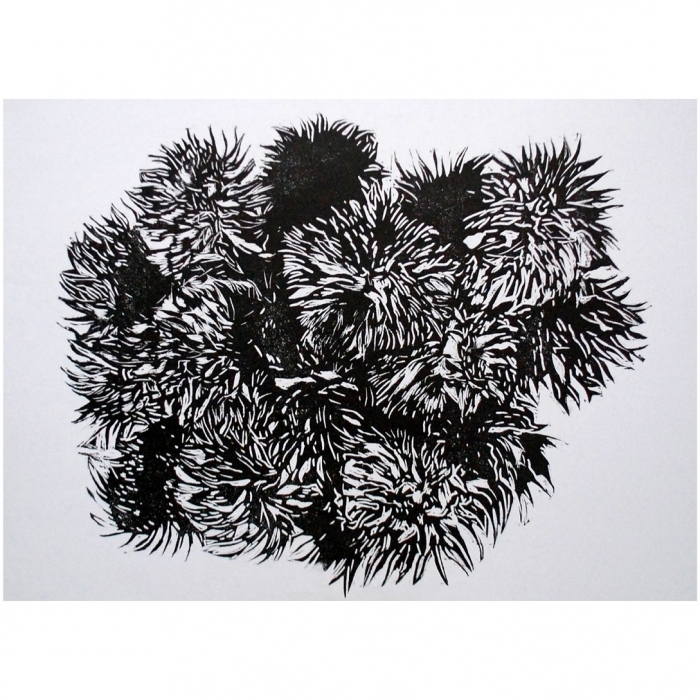 Dziki owoc, Linoryt, 11/30, 100x70 cm, 2013