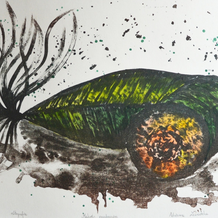 Makrela przybrzeżna, Litografia, akwarela, 8/30, 46x35 cm, 2016