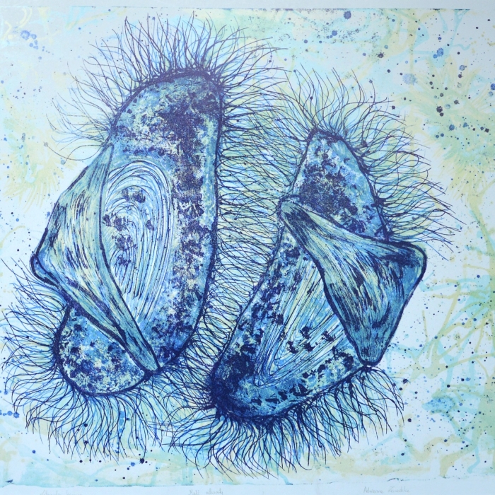 Małż nitkowaty, Litografia barwna, 6/30, 71x55,5 cm, 2016