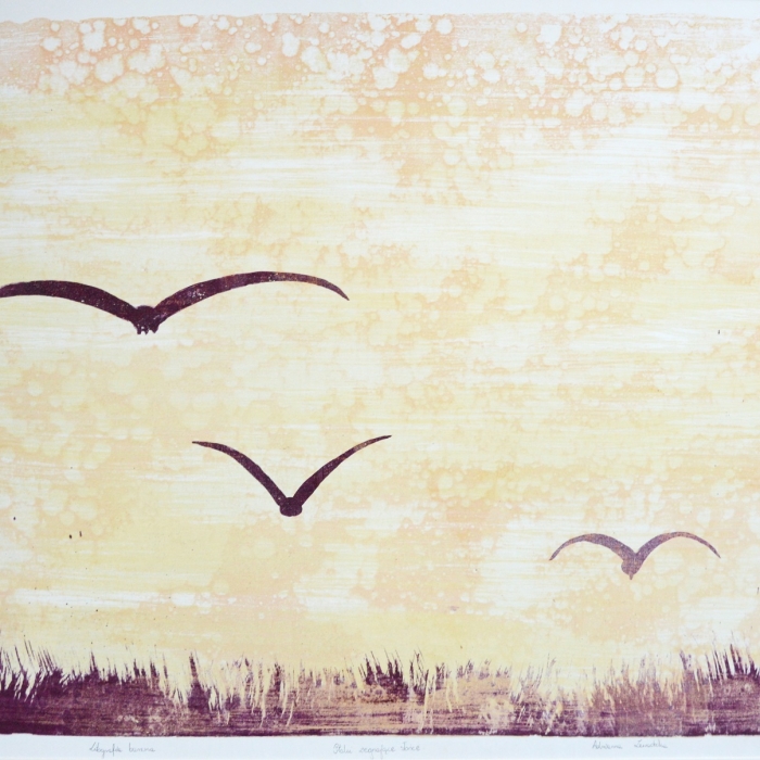 Ptaki żegnające słońce, Litografia barwna, 41/30, 71x55,5 cm, 2016