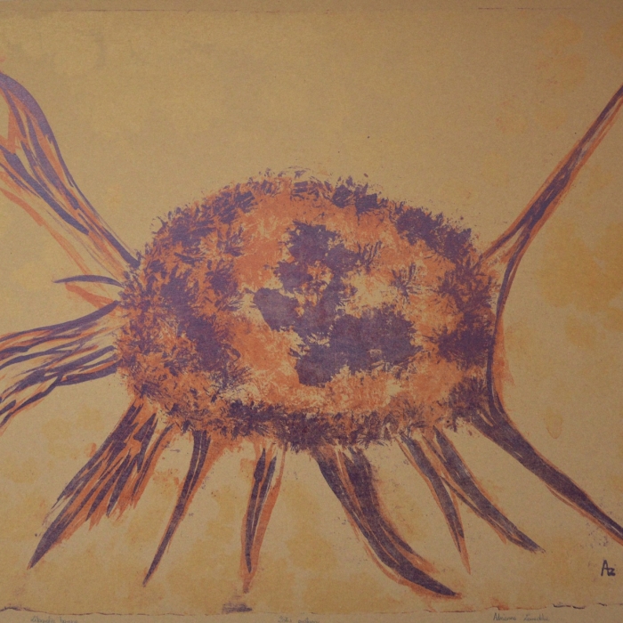 Żółw pustynny, Litografia barwna, 5/30, 71x55,5 cm, 2016